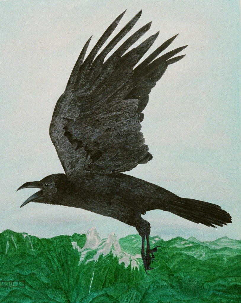 Mixed Media by Charmaine Elgood