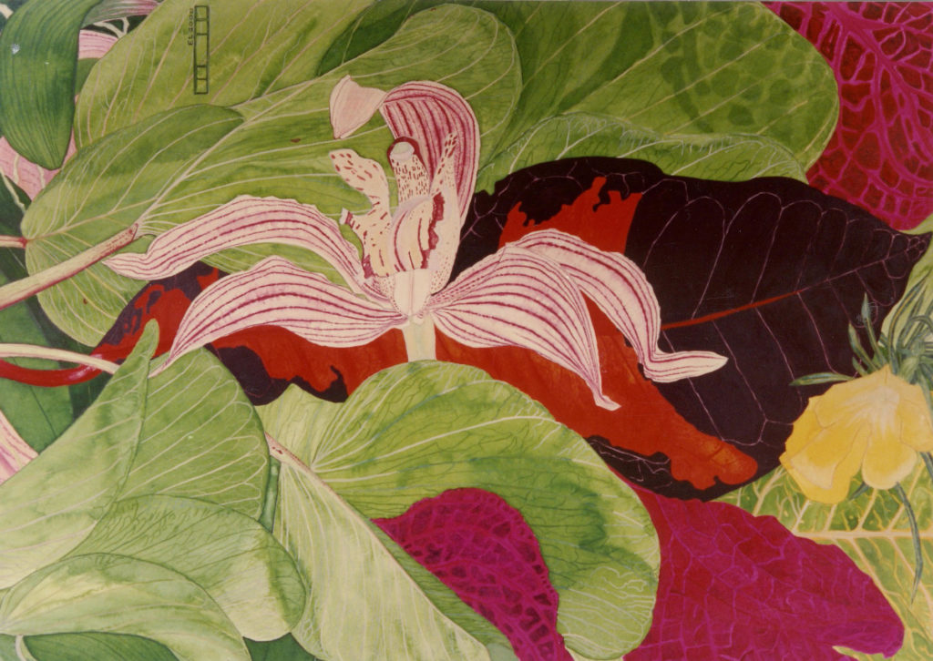 water-colour by Charmaine Elgood